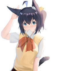Rule 34 | 1girl, absurdres, ahoge, animal ear fluff, animal ears, black hair, blue eyes, blush, bow, bowtie, breasts, cat ears, cat girl, cat tail, chuunibyou demo koi ga shitai!, collared shirt, commentary, exoius, eyepatch, hair between eyes, hair ribbon, hand up, highres, kemonomimi mode, looking at viewer, medium breasts, mouth hold, one side up, red bow, red bowtie, ribbon, school uniform, shirt, short hair, short sleeves, simple background, skirt, solo, sweater vest, tail, takanashi rikka, thighhighs, upper body, white background, white shirt, yellow ribbon
