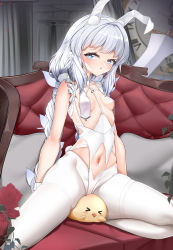 Rule 34 | &gt; &lt;, + +, :o, absurdres, animal ears, azur lane, blue eyes, blush, braid, breast curtains, breasts, breasts apart, clock, commentary request, couch, fake animal ears, flower, hairband, head tilt, highres, indoors, le malin (azur lane), le malin (listless lapin) (azur lane), looking at viewer, low twin braids, manjuu (azur lane), narrowed eyes, navel, official alternate costume, on couch, pantyhose, qwertame, rabbit ears, rose, sidelocks, silver hair, sitting, small breasts, spread legs, stomach, thighs, twin braids, white legwear, wrist cuffs