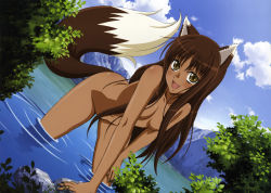 Rule 34 | animal ears, brown hair, dark skin, holo, spice and wolf, tagme, third-party edit