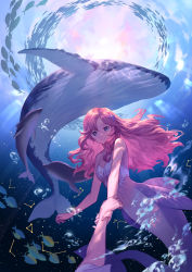 Rule 34 | 1girl, absurdres, air bubble, arm up, blue eyes, breasts, bubble, caustics, commentary, constellation, day, dolphin, fins, hair spread out, highres, holding hands, kneeless mermaid, light rays, long hair, looking at another, mermaid, monster girl, navel, original, out of frame, pink hair, school of fish, seashell, shell, shell bikini, short sleeves, sk lim, small breasts, smile, solo focus, starfish hair ornament, submerged, underwater, whale
