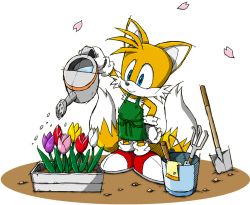 Rule 34 | apron, blue eyes, bucket, flower, official art, sega, shovel, sonic (series), tagme, tails (sonic), watering can, worktool