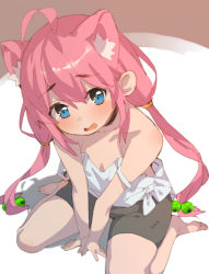 Rule 34 | 1girl, ahoge, animal ear fluff, animal ears, bare legs, bare shoulders, barefoot, batsuma, between legs, bike shorts, black shorts, blue eyes, blush, breasts, brown background, cat ears, fang, from above, full body, hair between eyes, hair bobbles, hair ornament, hand between legs, hinata channel, long hair, looking at viewer, looking up, nekomiya hinata, open mouth, pink hair, shadow, short shorts, shorts, simple background, sitting, small breasts, solo, strap slip, tank top, thighs, twintails, two-tone background, virtual youtuber, wariza, white background, white tank top