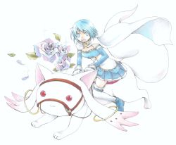 Rule 34 | 10s, 1girl, bad id, bad pixiv id, blue eyes, blue flower, blue hair, blue rose, flower, highres, kuroi2214, kyubey, magical girl, mahou shoujo madoka magica, mahou shoujo madoka magica (anime), matching hair/eyes, miki sayaka, open mouth, riding, rose, short hair, simple background, skirt, smile, solo, white background