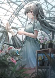 Rule 34 | 1girl, absurdres, bandaid, bandaid on arm, bandaid on face, bandaid on forehead, blush, bug, butterfly, closed mouth, dress, greenhouse, grey dress, grey hair, highres, holding, idolmaster, idolmaster shiny colors, indoors, insect, light rays, long hair, nemu kotatsu, palm tree, plant, potted plant, purple eyes, short sleeves, smile, solo, striped clothes, striped dress, sunbeam, sunlight, tree, two side up, vertical-striped clothes, vertical-striped dress, very long hair, watering, yukoku kiriko