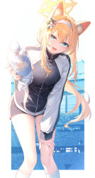 Rule 34 | 1girl, :d, animal ear fluff, animal ears, blue archive, blue eyes, border, bottle, breasts, feet out of frame, floating hair, flower, gym uniform, hair flower, hair ornament, hairband, halo, hand on own thigh, highres, holding, holding bottle, jacket, leaning forward, long hair, long sleeves, looking at viewer, mari (blue archive), mari (track) (blue archive), medium breasts, multicolored clothes, multicolored jacket, official alternate costume, open mouth, orange hair, outstretched hand, plastic bottle, ponytail, short shorts, shorts, sidelocks, smile, socks, solo, standing, thighs, toosaka asagi, track jacket, two-tone jacket, very long hair, water bottle, white background, white border, white hairband, white socks, zipper pull tab