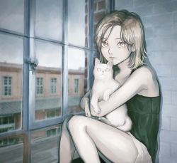 Rule 34 | 1girl, animal, bad id, bad twitter id, black camisole, blonde hair, blue sky, brick wall, building, camisole, cat, feet out of frame, holding, holding animal, holding cat, indoors, knees up, looking at viewer, medium hair, original, shorts, sky, solo, utsuwa0120, white cat, white shorts, window, yellow eyes