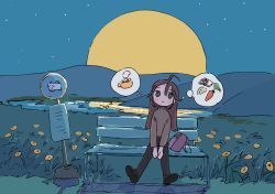 Rule 34 | 1girl, 1nupool, ahoge, bag, bench, black eyes, blush stickers, brown hair, bus stop sign, carrot, commentary, flower, food, full moon, handbag, highres, long hair, moon, night, night sky, original, outdoors, sitting, sky, solo, soup, thought bubble