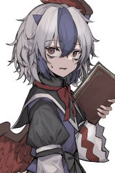 Rule 34 | 1girl, absurdres, bags under eyes, bird wings, black bow, blue hair, book, bow, commentary request, fang, from side, hair between eyes, highres, hisha (kan moko), holding, holding book, long sleeves, looking to the side, multicolored hair, open mouth, red eyes, red ribbon, ribbon, short hair, silver hair, simple background, solo, sweatdrop, tokiko (touhou), touhou, two-tone hair, white background, wide sleeves, wings