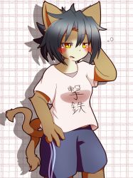 Rule 34 | 1girl, black hair, brown eyes, cat, female focus, furry, furry female, liu wo, multiple tails, short hair, shorts, solo, tail, two tails
