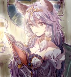 Rule 34 | 1girl, animal ears, armor, armored dress, blush, book, braid, breasts, cat ears, cleavage, commentary request, dress, erune, granblue fantasy, hair between eyes, hair tubes, heles, highres, holding, holding book, indoors, kuroi mimei, large breasts, long hair, orange eyes, reading, silver hair, sketch, solo, very long hair