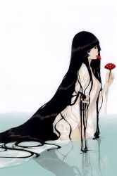 Rule 34 | 1girl, absurdly long hair, absurdres, between fingers, black hair, blunt bangs, breasts, flower, from side, grey eyes, head tilt, highres, hime cut, holding, long hair, mole, mole under eye, naked robe, nipples, open clothes, original, petals, reflection, robe, see-through, small breasts, solo, sugina miki, very long hair, wading, water, wet, wet clothes, wet hair