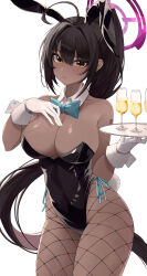 Rule 34 | 1girl, absurdres, ahoge, alcohol, animal ears, arm tattoo, black hair, blue archive, blue bow, blue hair, bow, breasts, champagne, champagne flute, cleavage, closed mouth, commentary request, covered navel, cowboy shot, cup, curvy, dark-skinned female, dark skin, detached collar, drinking glass, fake animal ears, fake tail, fishnet pantyhose, fishnets, floating hair, gloves, halo, hands up, high ponytail, highleg, highleg leotard, highres, holding, holding tray, karin (blue archive), karin (bunny) (blue archive), large breasts, leotard, long hair, looking at viewer, official alternate costume, pantyhose, playboy bunny, ponytail, rabbit ears, rabbit tail, shiny skin, side-tie leotard, simple background, solo, su901, tail, tattoo, thong leotard, tray, very long hair, white background, white gloves, white wrist cuffs, wide hips, wrist cuffs, yellow eyes