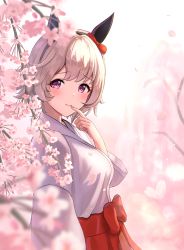 Rule 34 | 1girl, alternate costume, animal ears, blush, cherry blossoms, commentary request, curren chan (umamusume), finger to mouth, hair ornament, headband, highres, horse ears, horse girl, japanese clothes, kashmir 0808, looking at viewer, miko, purple eyes, short hair, simple background, smile, solo, umamusume