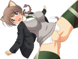 Rule 34 | animal ears, anus, ass, blush, lynette bishop, pussy, strike witches, tail, uncensored, world witches series