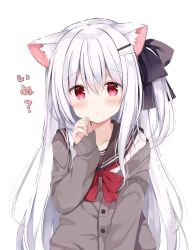 Rule 34 | 1girl, animal ear fluff, animal ears, black bow, black sailor collar, blush, bow, cardigan, closed mouth, commentary request, dog ears, grey cardigan, hair between eyes, hair bow, hand up, koinu-chan, kujou danbo, long hair, long sleeves, looking at viewer, one side up, original, red bow, red eyes, sailor collar, shirt, silver hair, simple background, sleeves past wrists, solo, translation request, upper body, very long hair, white background, white shirt