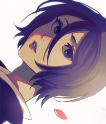 Rule 34 | 1girl, artist request, black hair, bleach, blue eyes, breasts, hair between eyes, highres, japanese clothes, kuchiki rukia, looking at viewer, open mouth, petals, portrait, purple eyes, shinigami, short hair, simple background, small breasts, solo, white background