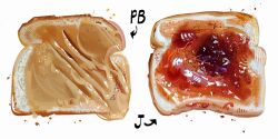 Rule 34 | arrow (symbol), bread, crumbs, food, food focus, highres, jam, nate d hernandez, no humans, original, peanut butter, simple background, still life, white background