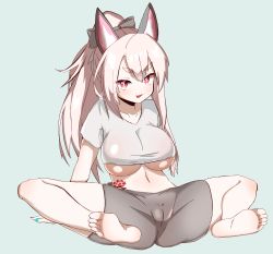 Rule 34 | 1girl, absurdres, animal ears, azur lane, barefoot, bike shorts, breasts, cameltoe, feet, highres, large breasts, long hair, looking at viewer, nail polish, parted lips, ponytail, red eyes, shirt, silver hair, soles, spread legs, t-shirt, toes, underboob, yuudachi (azur lane)