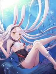 Rule 34 | 1girl, animal ears, ass, azur lane, bare legs, bare shoulders, black dress, black hairband, blush, breasts, clothed bath, crop top, diving, dress, extra ears, fish, habu rin, hair between eyes, hairband, highres, jellyfish, knees together feet apart, knees up, leg up, long hair, looking at viewer, medium breasts, no bra, ocean, open mouth, outdoors, rabbit ears, rabbit girl, shimakaze (azur lane), sleeveless, small breasts, solo, staring, underboob, underwater, upskirt, very long hair, white hair, yellow eyes