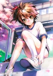 Rule 34 | 1girl, absurdres, artist name, blush, brown hair, cherry blossoms, green eyes, gym uniform, hair ornament, hairclip, highres, original, petals, putting on shoes, ryuutetsu, shoes, sitting, sitting on stairs, smile, sneakers, solo, stairs, translation request, tree, wind, yellow eyes