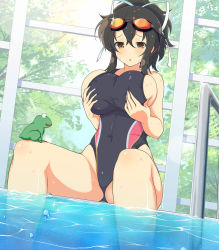 Rule 34 | 10s, 1girl, asuka (senran kagura), black hair, breasts, brown eyes, covered navel, curvy, femae, frog, goggles, goggles on head, hair ribbon, highres, large breasts, official art, one-piece swimsuit, partially submerged, ponytail, pool, ribbon, senran kagura, senran kagura new wave, short ponytail, sideboob, sitting, solo, swimsuit, thighs, water, wet, wet clothes, wet hair, wet swimsuit, white ribbon, yaegashi nan