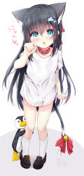 Rule 34 | 1girl, animal, animal ear fluff, animal ears, bell, bird, black footwear, black hair, blue eyes, blush, bow, cat ears, cat girl, cat tail, chestnut mouth, collar, commentary request, dolphin hair ornament, fang, grey background, hair between eyes, hair ornament, hairclip, hand up, highres, jingle bell, kouda suzu, loafers, long hair, original, parted lips, penguin, red bow, red collar, shirt, shoes, short sleeves, socks, solo, tail, tail bell, tail bow, tail ornament, translation request, two-tone background, very long hair, white background, white shirt, white socks