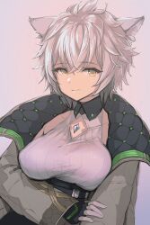 Rule 34 | 1girl, akatsu, animal ears, breasts, cat ears, cat girl, chest jewel, clothing cutout, core crystal (xenoblade), crystal, diamond cutout, fingerless gloves, gloves, jacket, large breasts, looking at viewer, messy hair, na&#039;el (xenoblade), open clothes, open jacket, romper, short hair, solo, xenoblade chronicles (series), xenoblade chronicles 3, xenoblade chronicles 3: future redeemed, yellow eyes