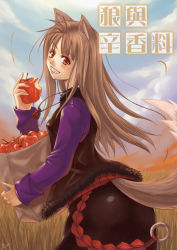 Rule 34 | 00s, 1girl, animal ears, apple, food, fruit, holding, holding food, holding fruit, holo, red eyes, solo, spice and wolf, tail, wolf ears, wolf tail