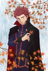 Rule 34 | 1boy, autumn leaves, belt, black cape, cape, closed mouth, commentary request, creatures (company), day, game freak, grey eyes, hand up, highres, holding, holding leaf, imasara maki, jacket, lance (pokemon), leaf, long sleeves, looking down, male focus, nintendo, outdoors, pants, pokemon, pokemon hgss, popped collar, red hair, short hair, smile, solo, spiked hair