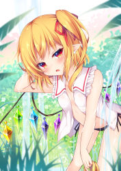 Rule 34 | 1girl, absurdres, arm up, bare arms, bare shoulders, bikini, bikini bottom only, black bikini, blonde hair, blush, commentary request, crystal, ear piercing, fang, feet out of frame, flandre scarlet, frilled shirt collar, frills, grass, hair ribbon, hand in own hair, head tilt, highres, holding, leaf, leaning forward, long hair, looking at viewer, miy@, no headwear, one side up, open clothes, open mouth, open shirt, piercing, pointy ears, red eyes, red ribbon, ribbon, shirt, sleeveless, sleeveless shirt, solo, standing, swimsuit, thighs, touhou, water, wet, white shirt, wings