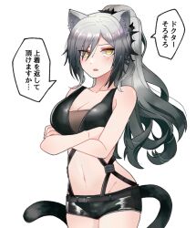 Rule 34 | 1girl, animal ears, arknights, bare arms, bare shoulders, basashisenjumin, black shorts, breasts, cat ears, cat tail, cleavage, commentary request, cowboy shot, crop top, crossed arms, grey hair, large breasts, long hair, looking at viewer, midriff, navel, parted lips, ponytail, schwarz (arknights), short shorts, shorts, simple background, sleeveless, solo, speech bubble, standing, stomach, tail, translation request, very long hair, white background, yellow eyes