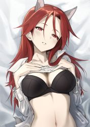 Rule 34 | 1girl, absurdres, animal ears, black bra, blush, bra, breasts, cleavage, clothes lift, collarbone, dog ears, dog tail, fankupl, highres, large breasts, lifted by self, long hair, looking at viewer, minna-dietlinde wilcke, red eyes, red hair, shirt lift, solo, strike witches, tail, underwear, upper body, world witches series