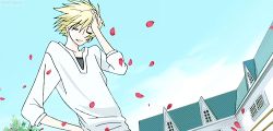 Rule 34 | 1boy, animated, animated gif, blonde hair, lowres, ouran high school host club, short hair, suou tamaki, tagme