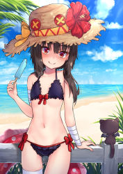 Rule 34 | 1girl, bandaged arm, bandages, bare arms, bare shoulders, beach, bikini, black bikini, blue sky, brown hair, brown hat, chomusuke, closed mouth, cloud, cloudy sky, commentary request, day, fence, flower, food, frilled bikini, frills, front-tie bikini top, front-tie top, hat, hibiscus, holding, horizon, kono subarashii sekai ni shukufuku wo!, long hair, looking at viewer, megumin, ocean, outdoors, pensuke, plant, popsicle, red eyes, red flower, side-tie bikini bottom, sky, smile, solo, straw hat, swimsuit, water