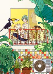 Rule 34 | 1boy, air conditioner, bird, black pants, cat, cup, delivery, drink, hat, highres, holding, holding cup, holding drink, keishin, leaf, letter, male focus, original, pants, plant, potted plant, print shirt, shirt, short sleeves, solo, toucan