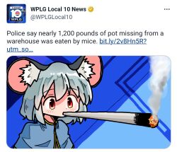 Rule 34 | 1girl, animal ears, commentary, drugs, english text, grey hair, highres, joint (drug), kasuya baian, marijuana, mouse ears, mouse girl, nazrin, photo-referenced, red eyes, short hair, simple background, smoke, solo, touhou, twitter, upper body
