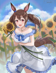 Rule 34 | 1girl, animal ears, bare shoulders, blue bow, blue sky, blurry, blurry background, blush, bow, breasts, brown hair, chikabo m, cloud, cloudy sky, commentary request, cowboy shot, dress, ear ornament, field, flower, flower field, hair between eyes, hishi akebono (umamusume), holding, holding flower, horse ears, horse girl, horse tail, large breasts, looking at viewer, medium breasts, off-shoulder dress, off shoulder, open mouth, outdoors, red eyes, sky, smile, solo, sunflower, sunflower field, tail, twintails, twitter username, umamusume, white dress