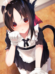Rule 34 | 1girl, alternate costume, animal ears, animal hands, apron, black dress, blurry, blurry background, blush, brown hair, cat ears, cat girl, cat tail, closed mouth, commentary request, depth of field, dress, enmaided, folded ponytail, gloves, hair ribbon, hand up, highres, indoors, kaguya-sama wa kokurasetai ~tensai-tachi no renai zunousen~, kneeling, looking at viewer, maid, maid apron, maid headdress, no shoes, pantyhose, parted bangs, paw gloves, red eyes, red ribbon, ribbon, shinomiya kaguya, solo, suisen-21, tail, wavy mouth, white apron, white gloves, white pantyhose, wooden floor
