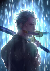 Rule 34 | 1boy, dual wielding, eilinna, from behind, green hair, hair slicked back, holding, holding sword, holding weapon, katana, long sideburns, male focus, mouth hold, one piece, over shoulder, pectorals, rain, roronoa zoro, scar, scar across eye, scar on face, short hair, sideburns, solo, sword, sword over shoulder, toned, toned male, weapon, weapon over shoulder, wet, wet clothes