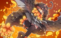Rule 34 | 1girl, absurdres, ahoge, bazelgeuse, black footwear, black hair, black jacket, black thighhighs, blush, brown eyes, chestnut mouth, commentary request, from below, garter straps, grey wings, hair between eyes, halftone, halftone background, highres, jacket, milkpanda, monster hunter (series), open mouth, outline, personification, shoe soles, shoes, short eyebrows, solo, tail, teeth, thick eyebrows, thighhighs, upper teeth only, white outline, wings