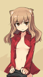 Rule 34 | 1girl, animal ears, blush, breasts, brown eyes, brown hair, covered erect nipples, fernandia malvezzi, medium breasts, messy (efuya), navel, open clothes, open shirt, shirt, solo, strike witches, strike witches: kurenai no majo-tachi, world witches series