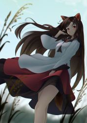 Rule 34 | 1girl, animal ears, bare legs, between breasts, black hair, black skirt, blurry, blurry background, blurry foreground, breasts, brooch, brown hair, cloud, cowboy shot, dress, feet out of frame, field, floating hair, from below, highres, imaizumi kagerou, jewelry, kanpa (campagne 9), layered dress, long hair, long sleeves, looking at viewer, monster girl, outdoors, parted lips, plant, red eyes, red skirt, ruffling hair, skirt, sky, small breasts, solo, swept bangs, tail, touhou, very long hair, white dress, wide sleeves, wolf ears, wolf tail