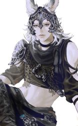 Rule 34 | 1boy, absurdres, androgynous, animal ears, armor, warrior of light (ff14), bare shoulders, bishounen, blue eyes, choker, closed mouth, clothing cutout, cropped shirt, ears through headwear, final fantasy, final fantasy xiv, grey hair, helmet, highres, lips, long hair, looking at viewer, male focus, midriff, pale skin, rabbit ears, shoulder armor, shoulder cutout, simple background, sitting, solo, stomach, tenderina 123, viera, yellow background