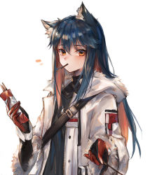 Rule 34 | 1girl, animal ear fluff, animal ears, arknights, black hair, black shirt, food, gloves, highres, holding, hood, hood down, hooded jacket, id card, jacket, long hair, long sleeves, looking at viewer, mouth hold, multicolored hair, official alternate costume, open clothes, open jacket, orange eyes, pocky, ryuuji teitoku, shirt, simple background, solo, strap, texas (arknights), texas (winter messenger) (arknights), two-tone hair, upper body, white background, white jacket, wolf ears