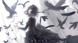 Rule 34 | 1girl, animal, bird, black dress, black feathers, black hair, cathedral, crow, dress, english text, feathers, from side, gothic lolita, holding, holding jewelry, jewelry, layered sleeves, lolita fashion, long sleeves, looking away, missile228, mouth hold, original, pendant, profile, red eyes, short over long sleeves, short sleeves, solo, standing, white background