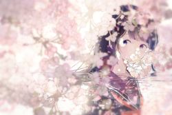 Rule 34 | 1girl, amenomori howa, black hair, blue eyes, blunt bangs, cherry blossoms, covered mouth, flower, highres, light particles, long hair, looking at viewer, looking to the side, original, pink theme, school uniform, serafuku, solo, upper body, winter uniform