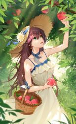 Rule 34 | 1girl, absurdres, bare shoulders, breasts, brown hair, crazy ones, dress, earrings, food, frilled dress, frills, fruit, green eyes, hat, highres, jewelry, long hair, medium breasts, official art, open mouth, peach, peach tree, red hair, solo, star (symbol), star earrings, su xiaoye, sun hat, white dress