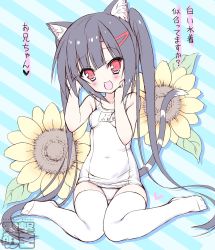 Rule 34 | 1girl, animal ears, black hair, blush, cat ears, dengeki moeou, dokidoki sister aoi-chan, flower, hair ornament, hairclip, hands on own face, knees together feet apart, kohinata aoi (dokidoki sister aoi-chan), long hair, no shoes, one-piece swimsuit, open mouth, original, red eyes, school swimsuit, sitting, smile, solo, sunflower, swimsuit, tail, takahashi tetsuya, thigh gap, thighhighs, translation request, twintails, very long hair, watermark, white school swimsuit, white one-piece swimsuit, white thighhighs