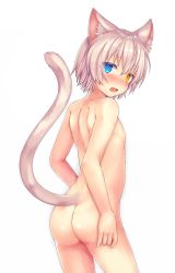 Rule 34 | 1boy, animal ears, ass, back, back focus, blue eyes, blush, cat ears, cat tail, commentary request, cowboy shot, fang, from behind, hair between eyes, heterochromia, highres, kida kuro mu, looking at viewer, looking back, male focus, nude, open mouth, original, shiro (kida kuro mu), short hair, simple background, slit pupils, solo, tail, trap, white background, white hair, yellow eyes