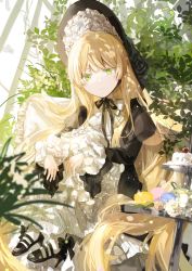 Rule 34 | 1girl, absurdly long hair, blonde hair, blunt bangs, closed mouth, colored eyelashes, expressionless, food, gosick, gothic lolita, green eyes, highres, juliet sleeves, lolita fashion, long hair, long sleeves, macaron, puffy sleeves, sidelocks, sitting, solo, very long hair, victorica de blois, xiaolinzi